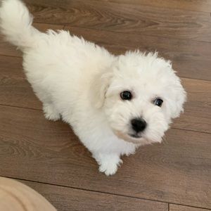 Meet your Posher, Mary